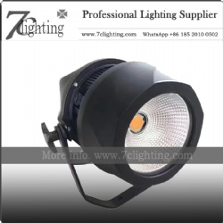 IP 200W COB LED PAR Light